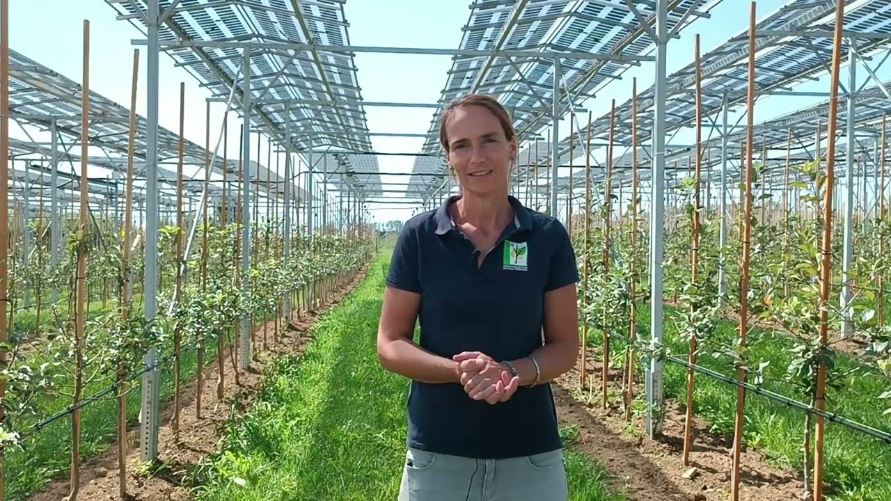 Solarstrom und Äpfel - die Agri-Photovoltaik-Anlage am Kompetenzzentrum Obstbau Bodensee (KOB)