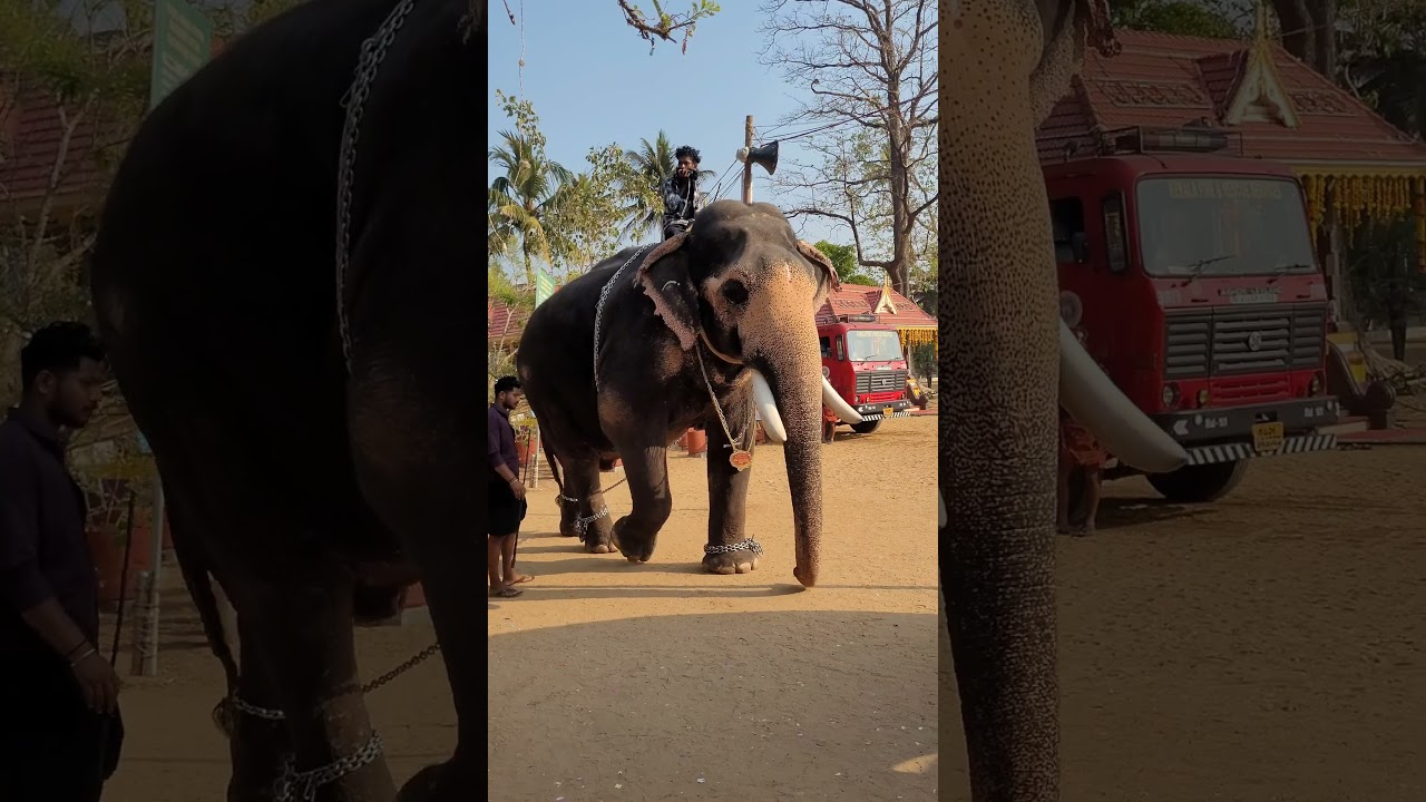മധുരപ്പുറം കണ്ണൻ ഫാൻസ്‌ ഉണ്ടോ 🔥🔥 