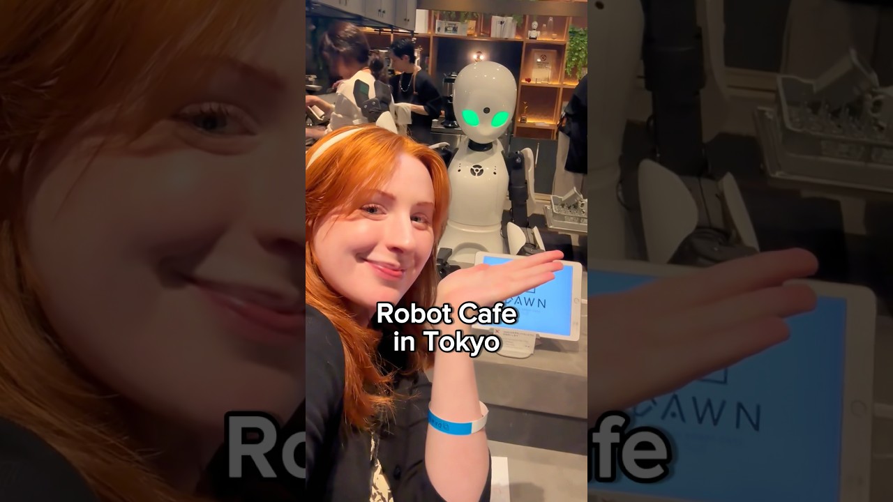 Most wholesome ROBOT caf&eacute;