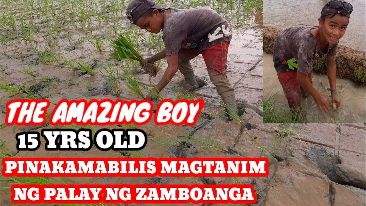 THE AMAZING BOY ANG BATANG PINAKA MABILIS MAGTANIM NG PALAY NG MINDANAO