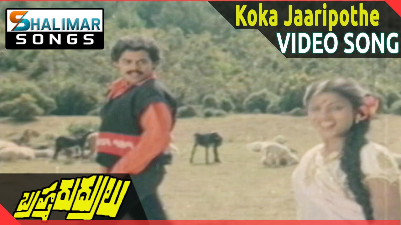 Brahma Rudrulu Movie || Koka Jaaripothe Video Song || Venkatesh, ANR, Rajini || Shalimarsongs