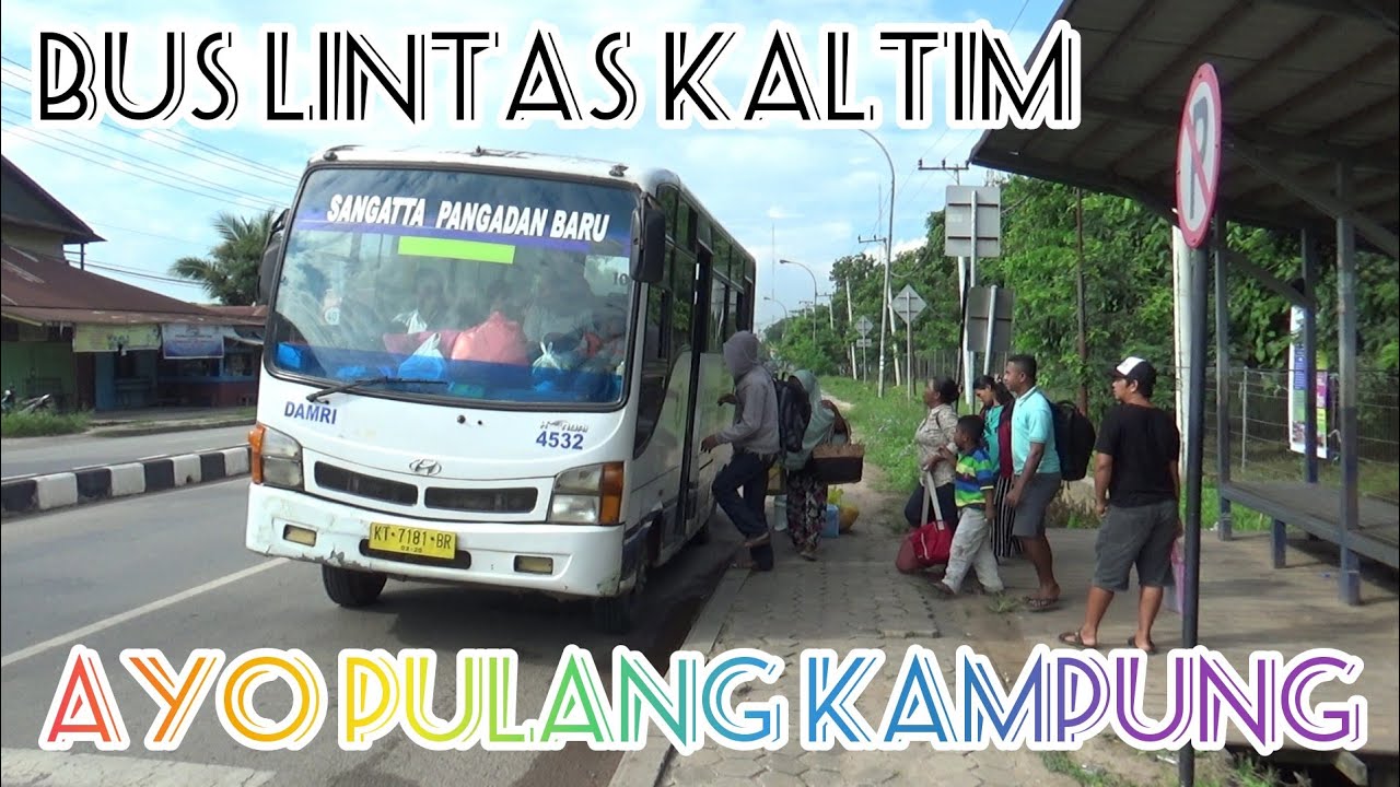 XAVC - S || H - 5/6 Lebaran Bus perintis Damri Sangatta - Pangadan baru PENUH !