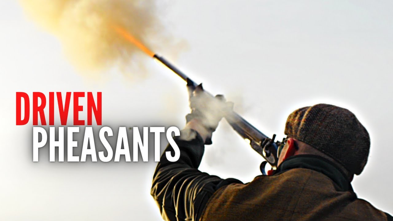 The Muzzle Loader Pheasant Hunt
