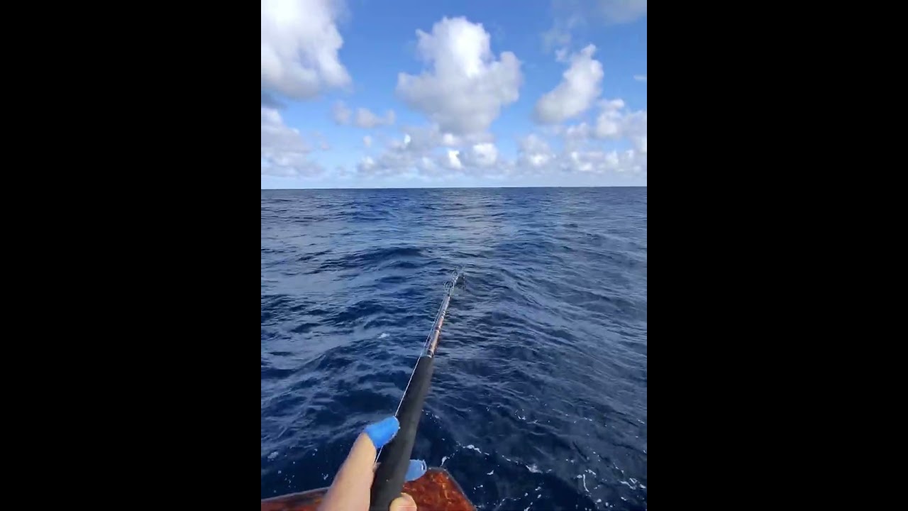 Kelp Paddy Yellowtail Fishing on the Pacific Queen 4/27/25 Pt. 2