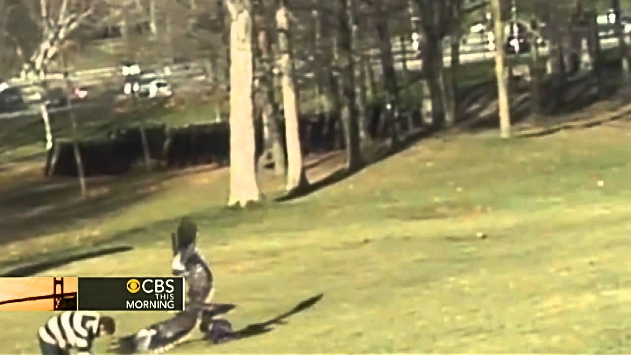 Viral video of eagle snatching child a hoax