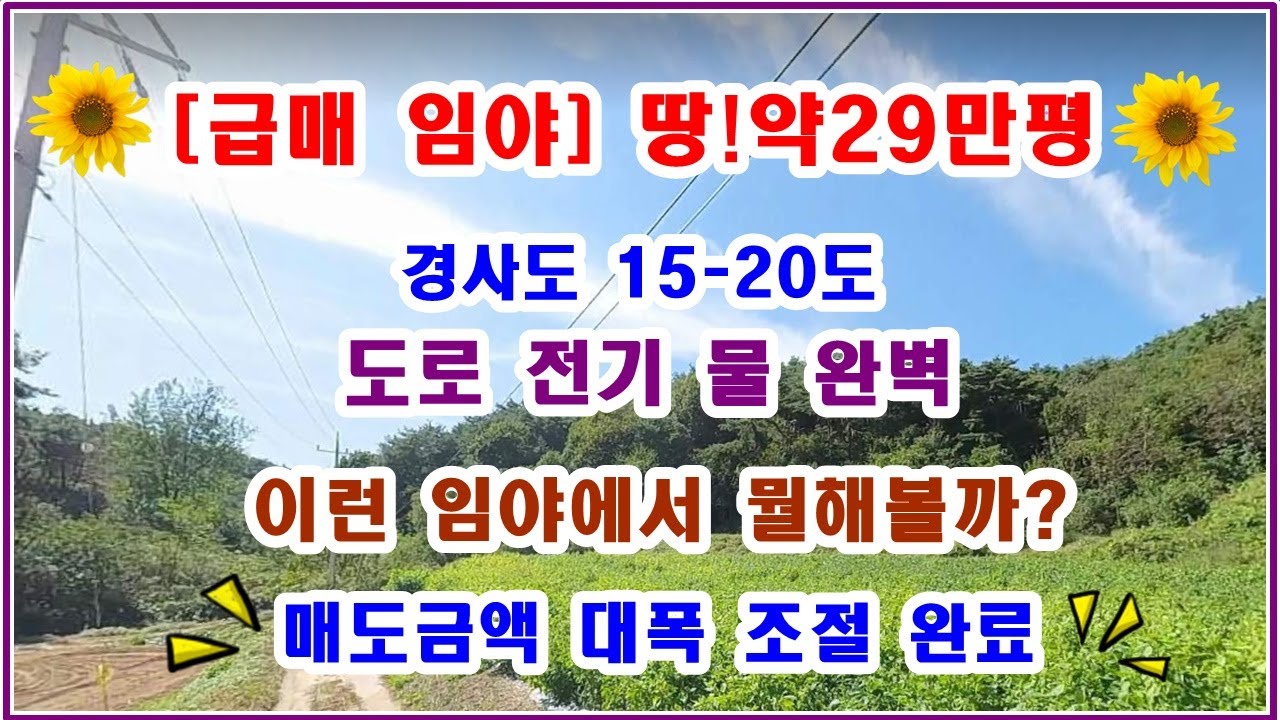 [급매] 29만평의 대형임야를 만나보세요  도로완벽 전기완벽  물완벽 다갖춘임야 경사도 15-20도 너무좋네요 평당 3700원꼴