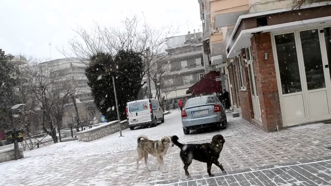 Στα λευκά άρχισε να ντύνεται και η πόλη της Έδεσσας