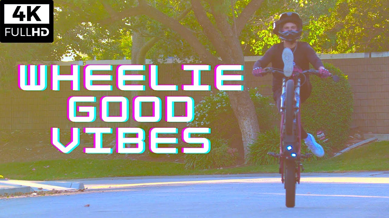 WHEELIE VIBES // EBIKE WHEELIE COMPILATION // SURRON X SEGWAY X260