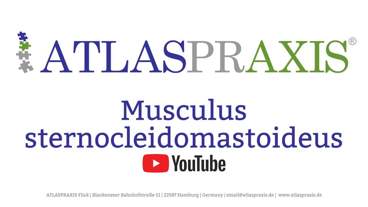 Kopfschmerzen und andere Beschwerden vom Musculus sternocleidomastoideus ausgehend