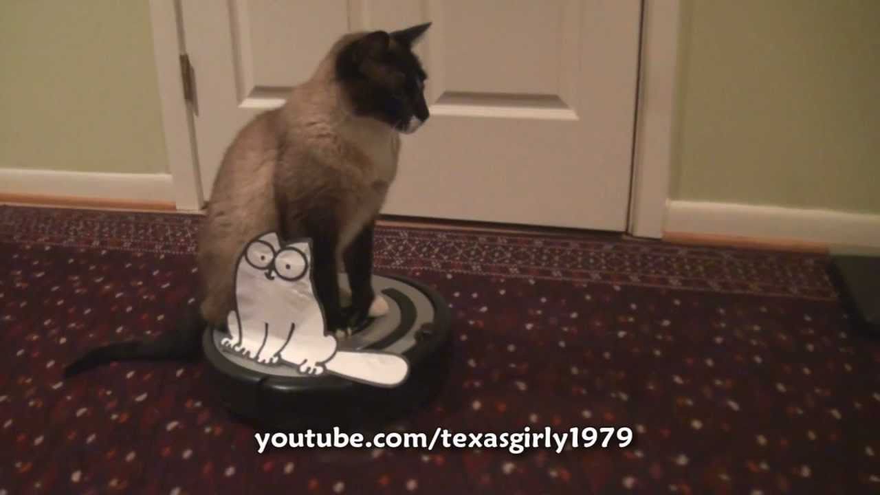2 iRobot ROomba CATS! Simon's Cat VS. Roomba Cat Max-Arthur
