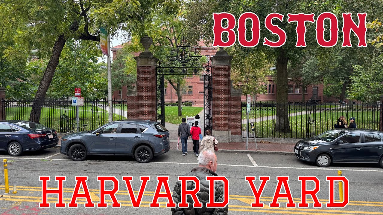 BOSTON HARVARD YARD - Harvard University Main Campus - 4K #harvard #harvarduniversity #harvardcampus