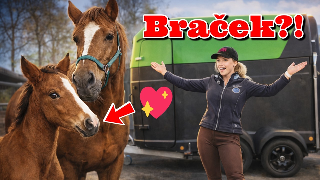 Elise má bračeka?! 🐣🤎 Nový prepravník 🥳 a prvá samostatná vychádzka 🐴 | Žrebčín Motešice | Furioso