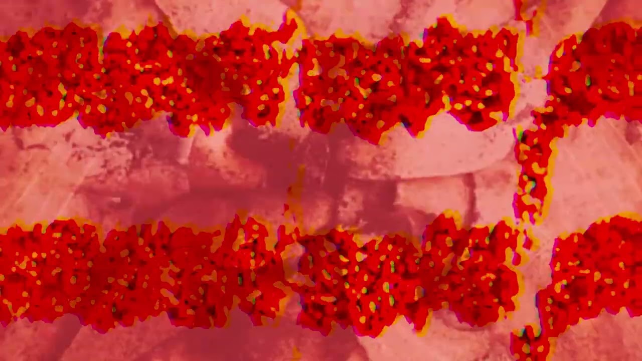 Walmartians -  Ring Around Your Throat