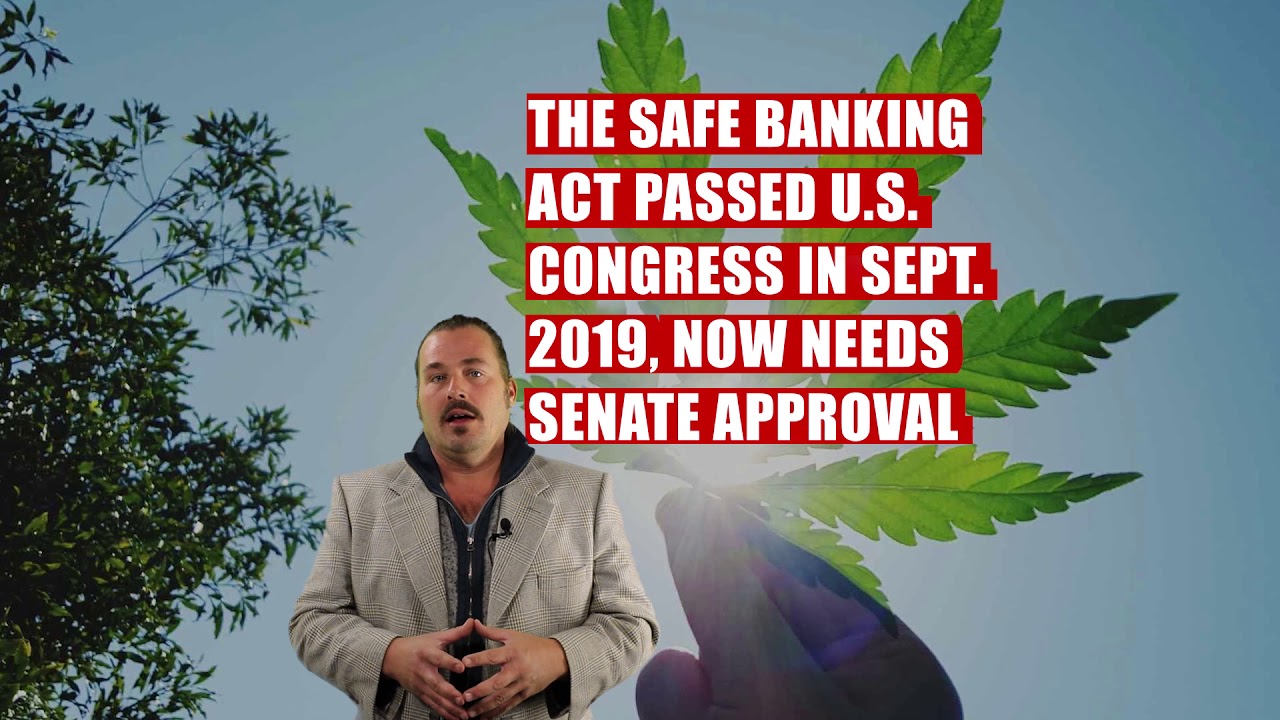 The Marijuana Index Start to Finish (MJ:NYSE)
