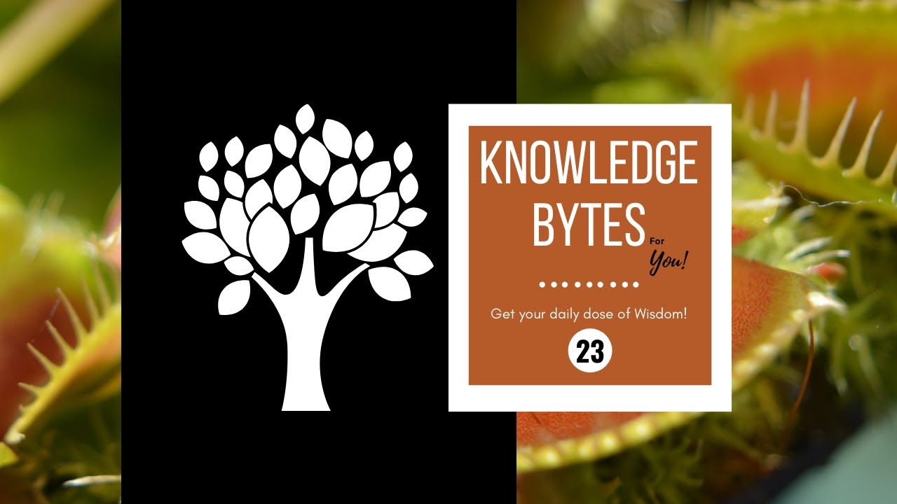 23. Knowledge Bytes - Amazing Facts