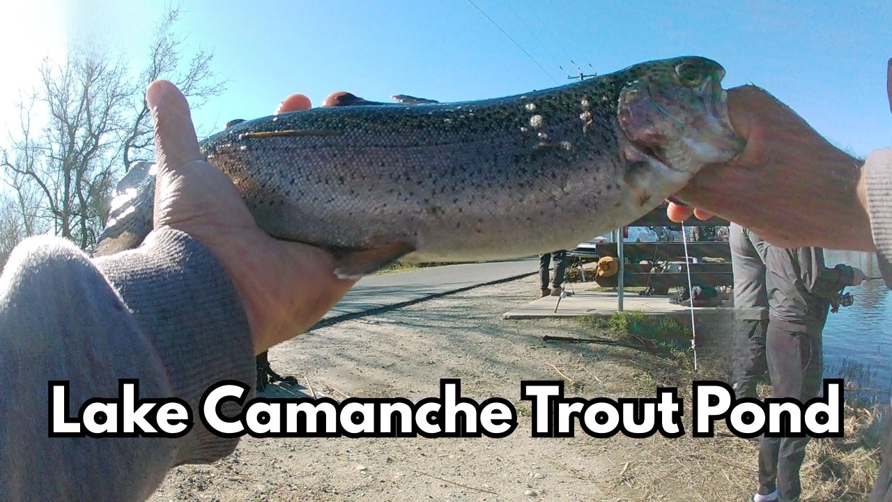 Lake Camanche Trout Pound Madness | Everyone was catching!