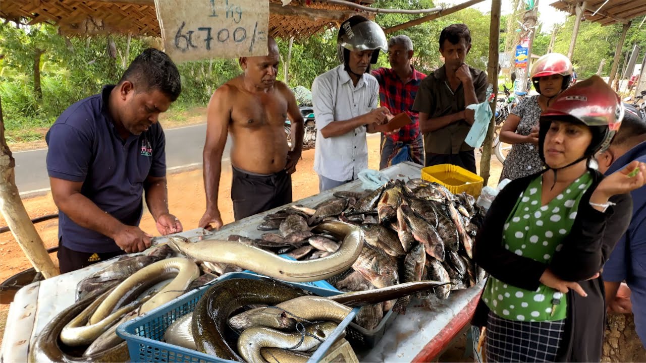 Authentic!! Village Life Through Fish | A Day In The Raw Beauty of Rural Markets