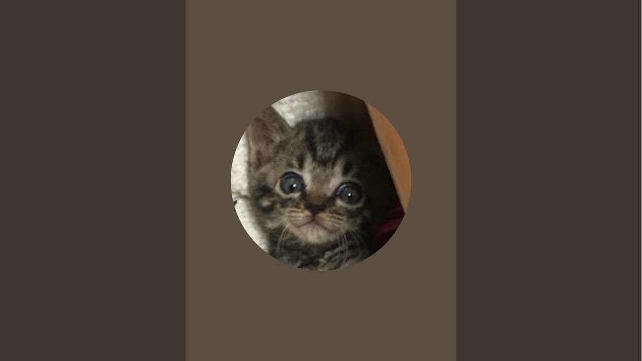 少しだけ