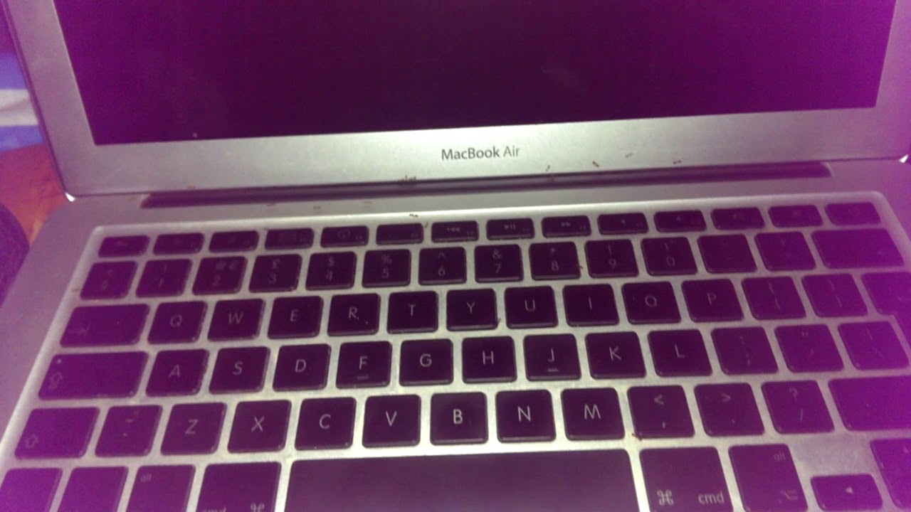 Ants all over my macbook air