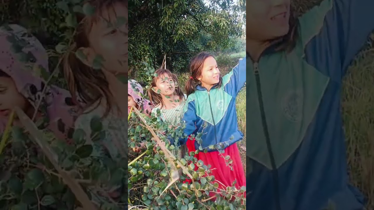 खेतबारि हर्दै नानि बाबु सग बयर टिप्दै रमाईलो गफ गर्दै
