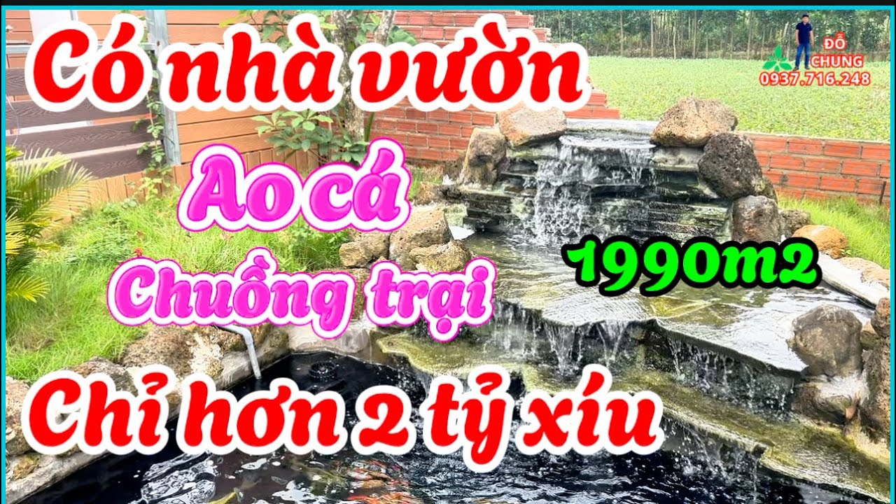 Nhà vườn Trảng Bom .  1990m2 có nhà ở , ao cá , chuồng trại … Đường xe hơi tới. 
