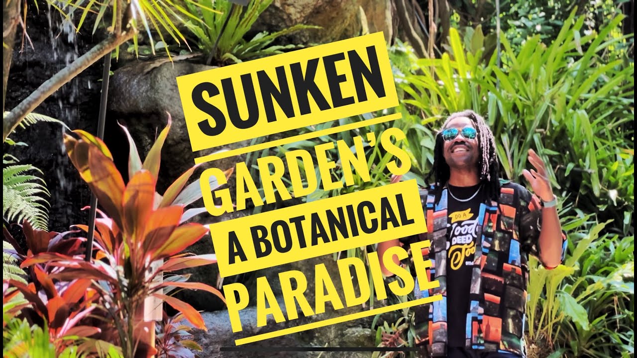 Explore Sunken Gardens: St. Petersburg’s Tropical Oasis & Historic Gem