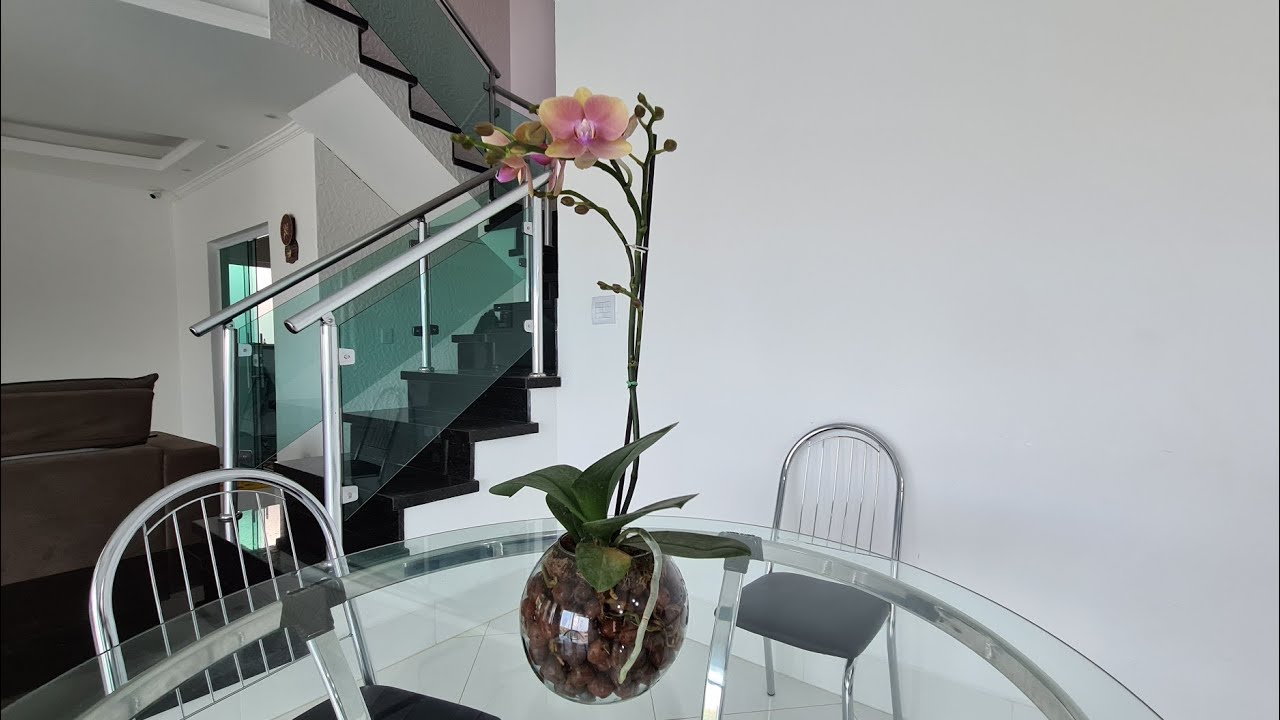 Como cultivar phalaenopsis no vaso de vidro com argila expandida