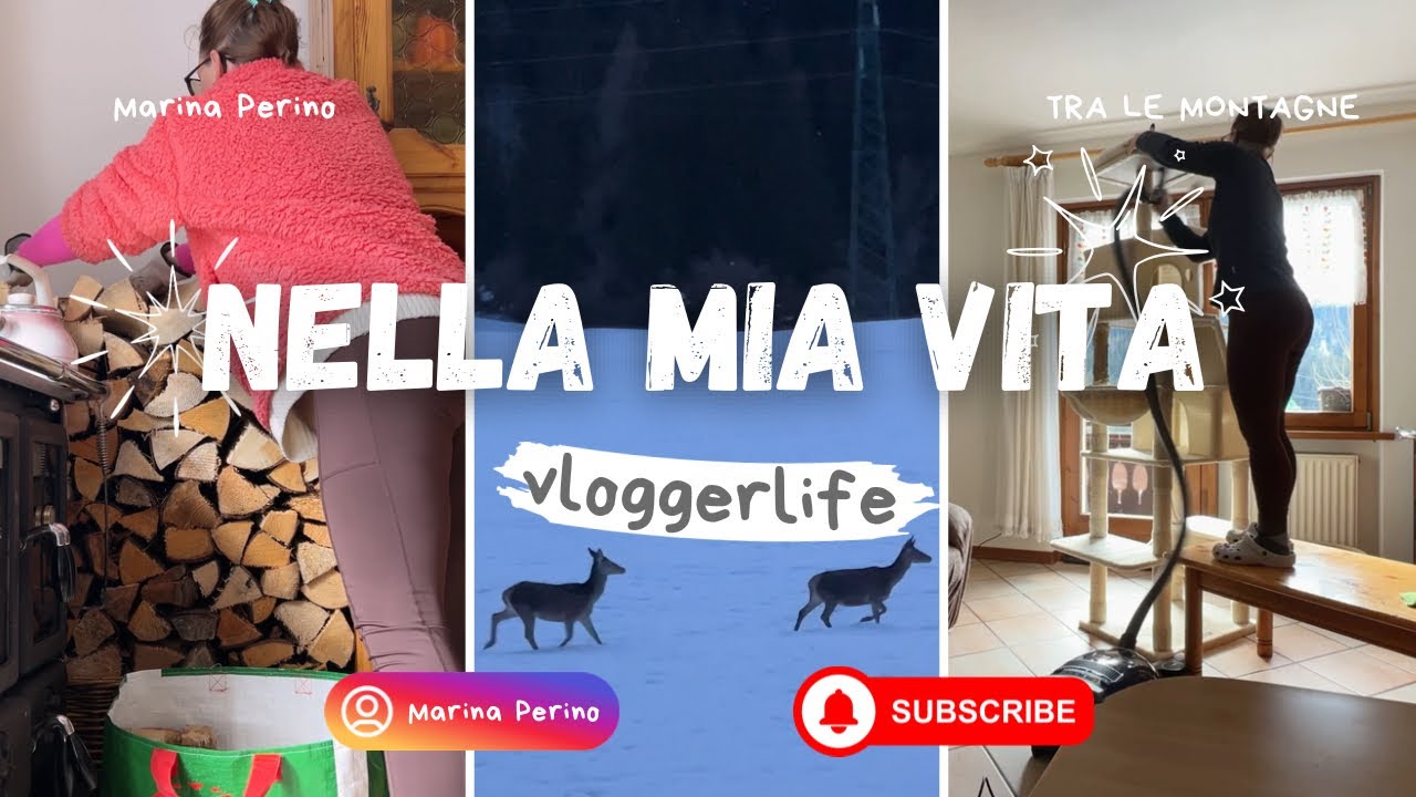 Riordino casalingo e cerve a sorpresa | Vita in montagna
