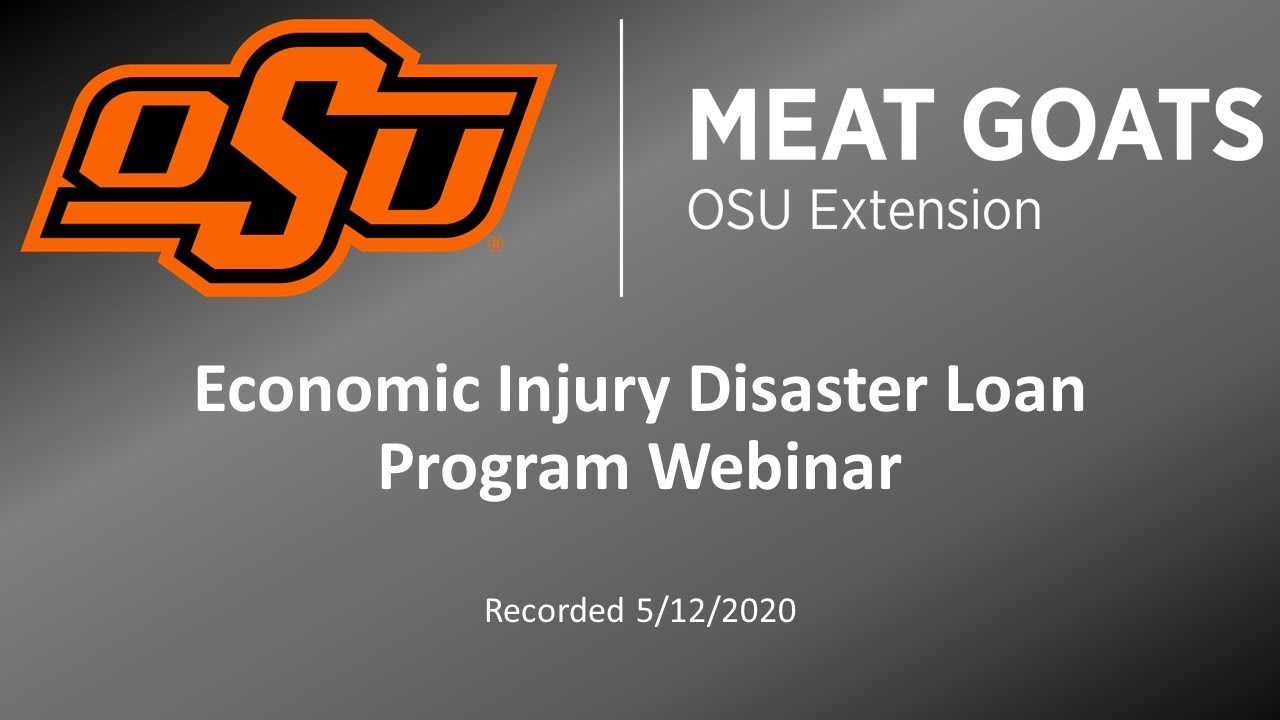 Economic Injury Damage Loan Webinar
