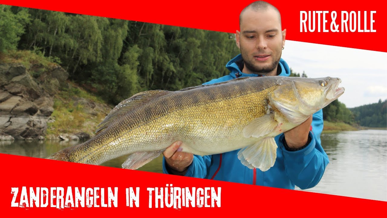 RUTE&ROLLE: Zanderangeln in Thüringen | Raubfischrevier Bleilochtalsperre