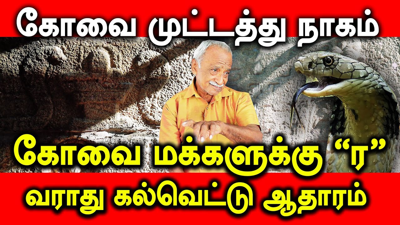 கோவை முட்டத்து நாகம்  | கோவை மக்களுக்கு “ர” வராது |  கல்வெட்டு ஆதாரம்  | #kovai | #archaeology