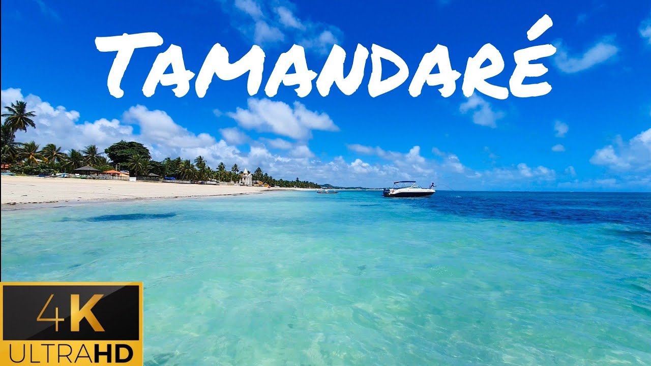 Tamandaré PE Praias incríveis e onde comer
