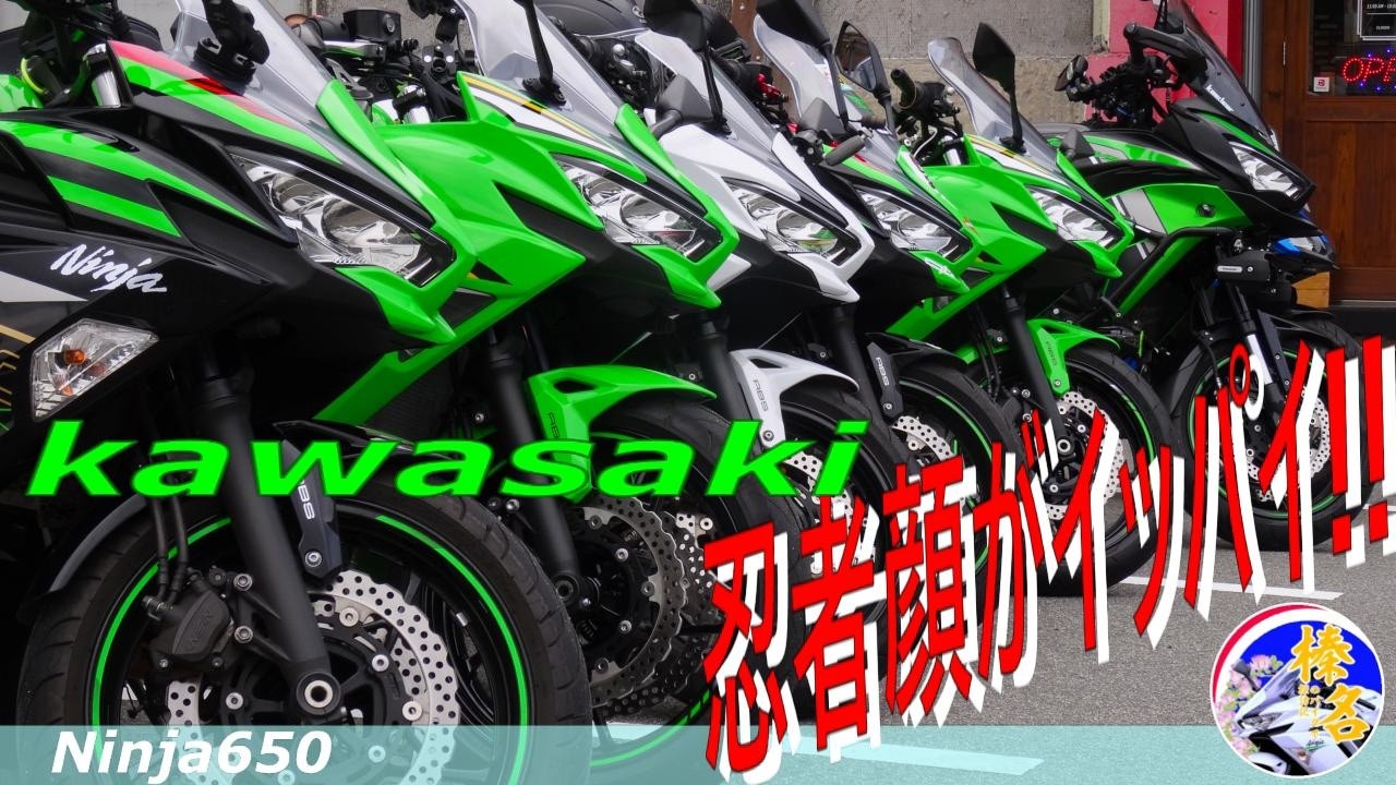 【Ninja650】ニンジャ６５０が大集結‼カワサキ水冷６５０ｃｃＭＴに参加してきました【モトブログ】