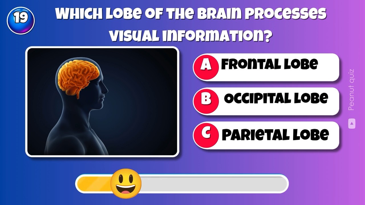 40 Mind-Blowing Psychology Questions That’ll Test Your Brain! 🧠 | Human Psychology Quiz