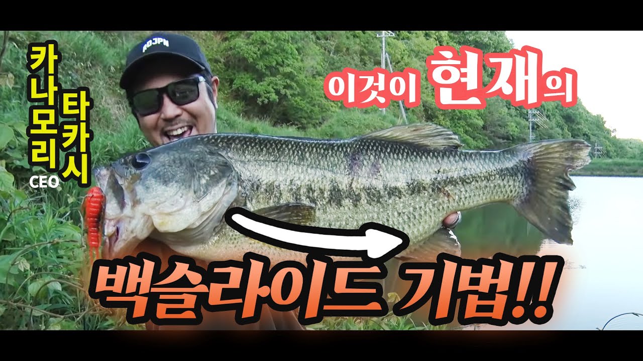 [RAIDJAPAN] 단순히 가라앉히지 마라! 백슬라이드로 슝 (배스낚시,배스테크닉)