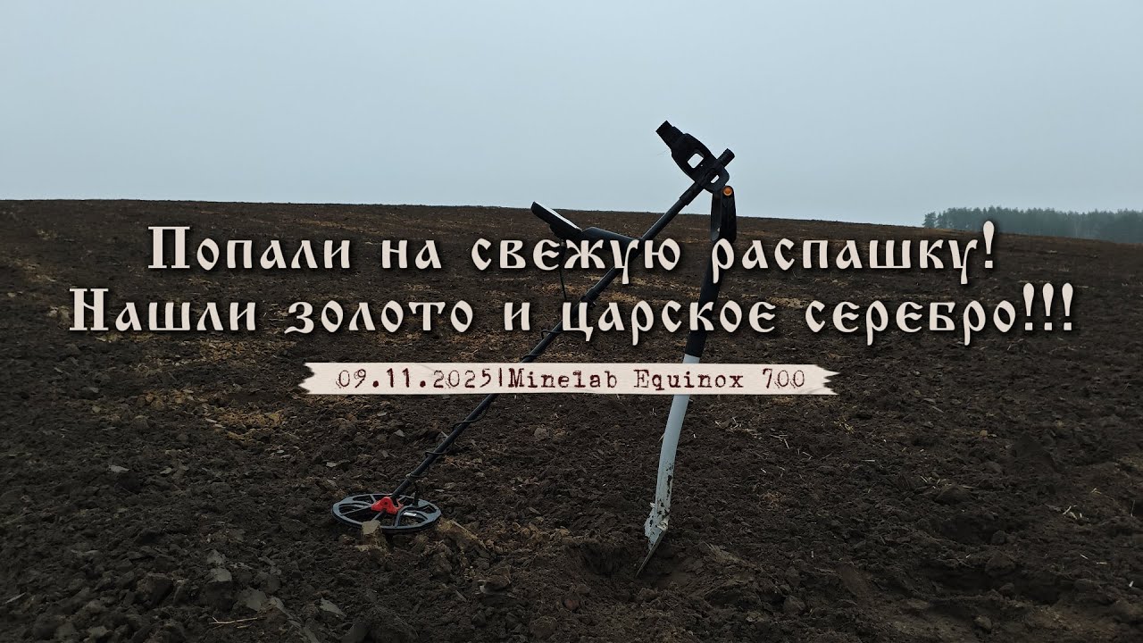 Попали на свежую распашку! Нашли золото и царское серебро!!! Коп с Minelab Equinox 700.