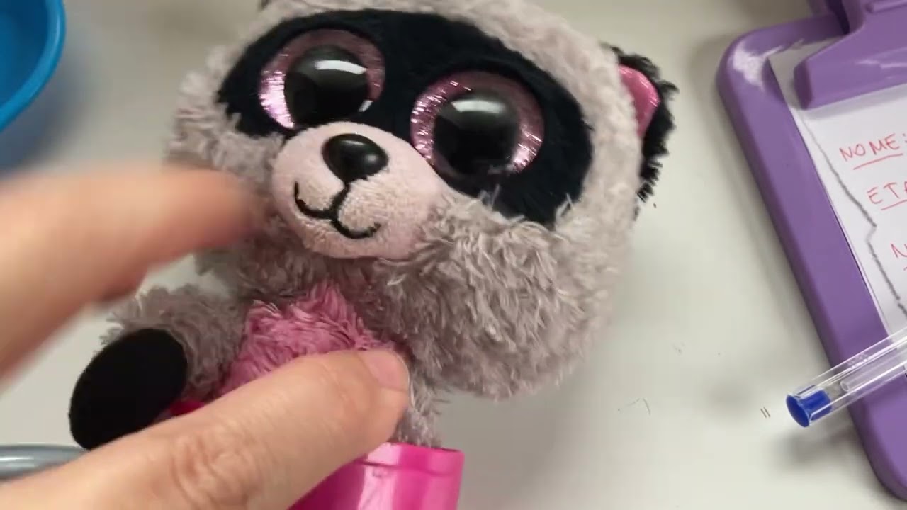 Clinica veterinaria, faccio un controllo al piccolo procione - ASMR