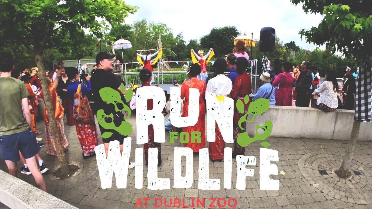 Dublin Zoo Run For Wildlife