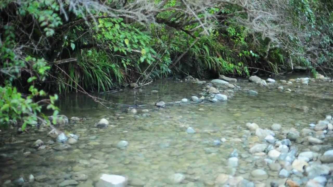 Jun 2012 Goldsborough (Mine Site) Campsite & Track 080.AVI