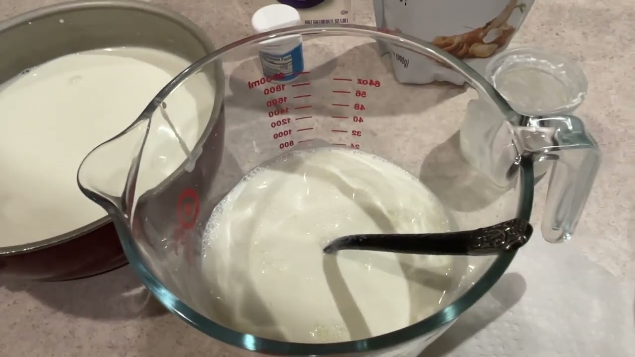 Como hacer el yogurt casero con probiotico Lactobacilo Reuteri receta del Dr. William Davis
