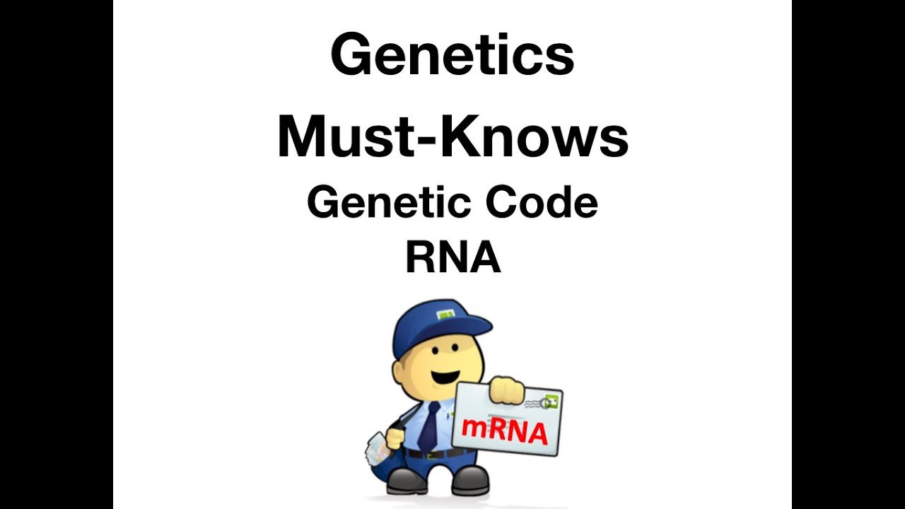 Board Exam Secrets - Biochemistry Genetic Code
