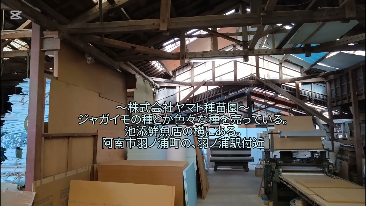 高校生で、普通にピアスの穴を空けたり電子タバコを吸ったりする奴が居るから、取り締まりや校則を厳格化するべき。2026年1月26日