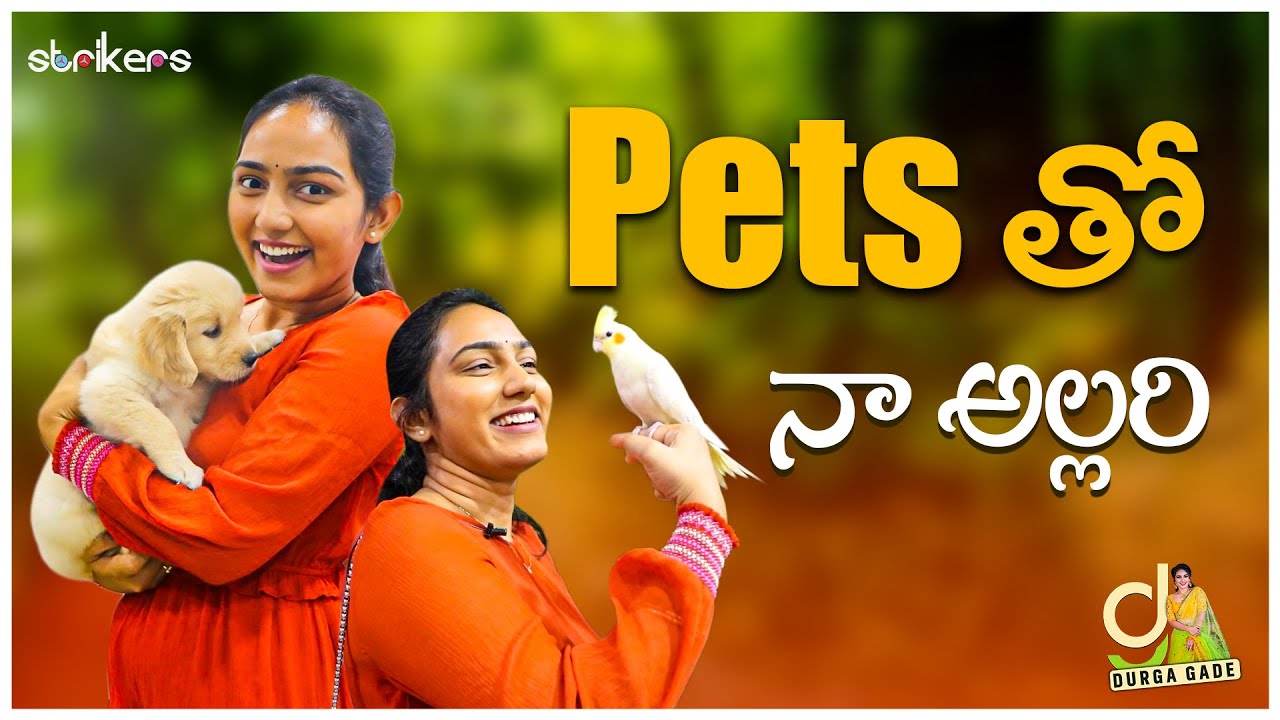 Pets తో నా అల్లరి || Bow boww to meow meow || Durga Gade || Strikers
