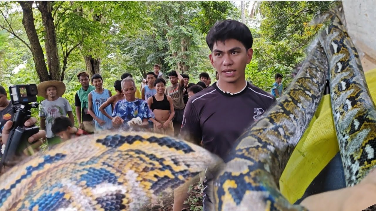 MGA NAG LALAKIHANG AHAS NA NAGHULI #cobraprince #kingcobra 