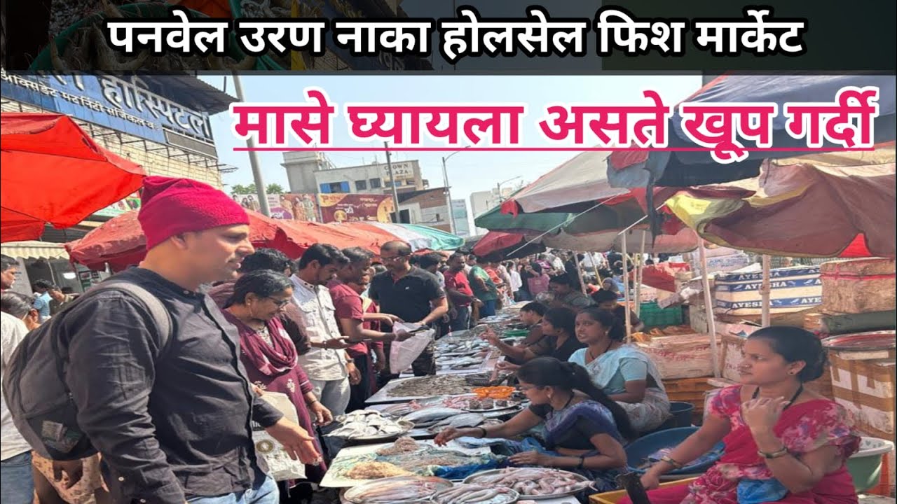 Navi Mumbai Wholesale Fish Market | Uran Naka Fish Market Panvel | Wholesale Fish Market In Mumbai