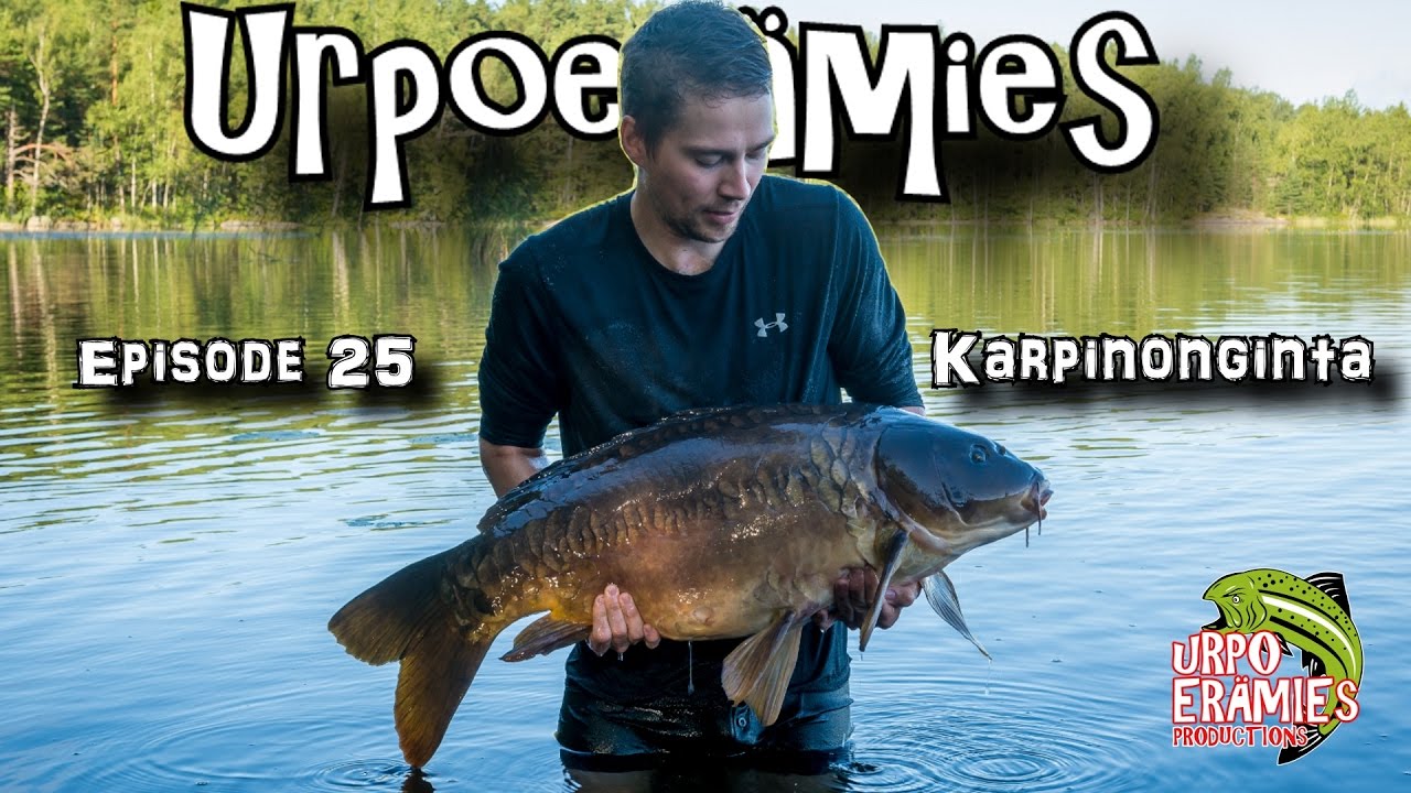Karpinonginta | Carp Fishing in Finland