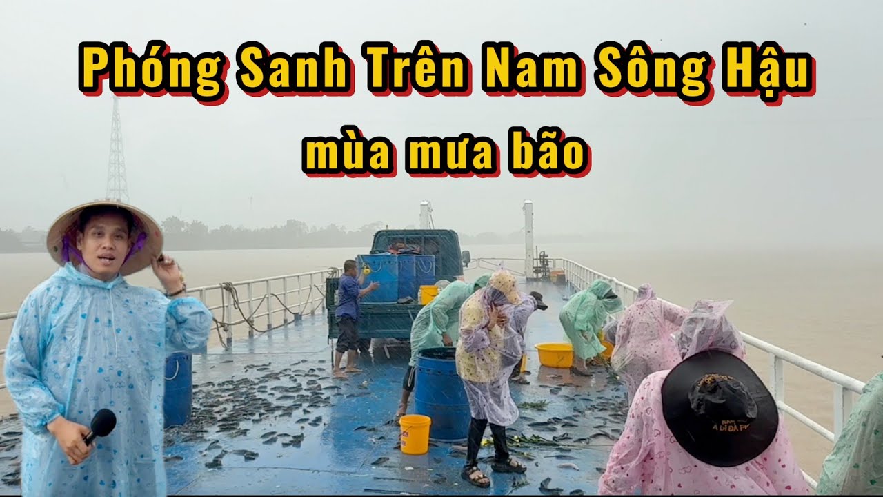 Chùa Khánh Sơn Sóc Trăng Cần Thơ Thả Cá Phóng Sanh Trên Nam Sông Hậu  | SaLaTV