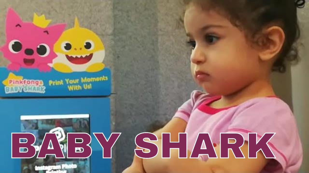 Pinkfong & Baby shark Dance Official Show