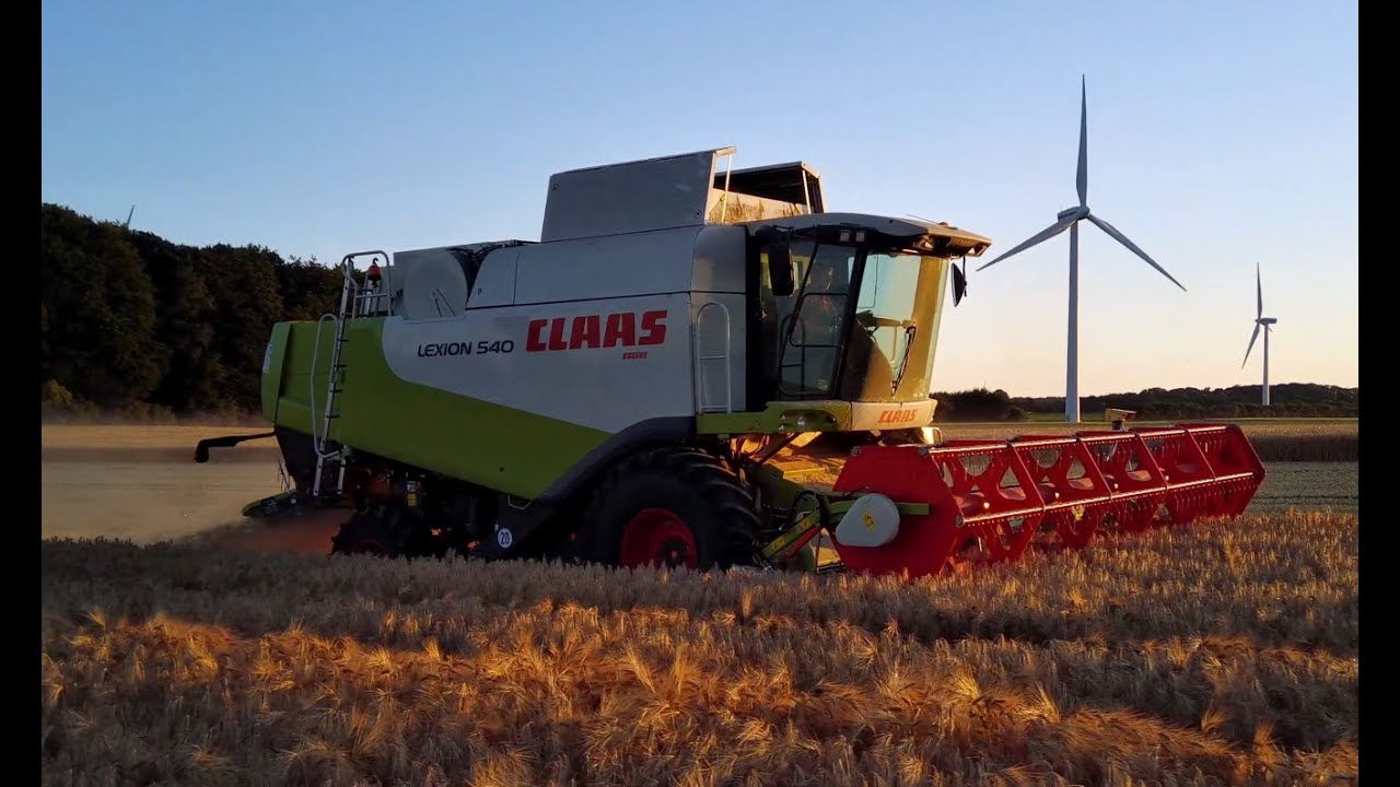 Claas Lexion 540 Gerste Dreschen 2025 Sonnenuntergang Mähdrescher Combine Harvester Barley