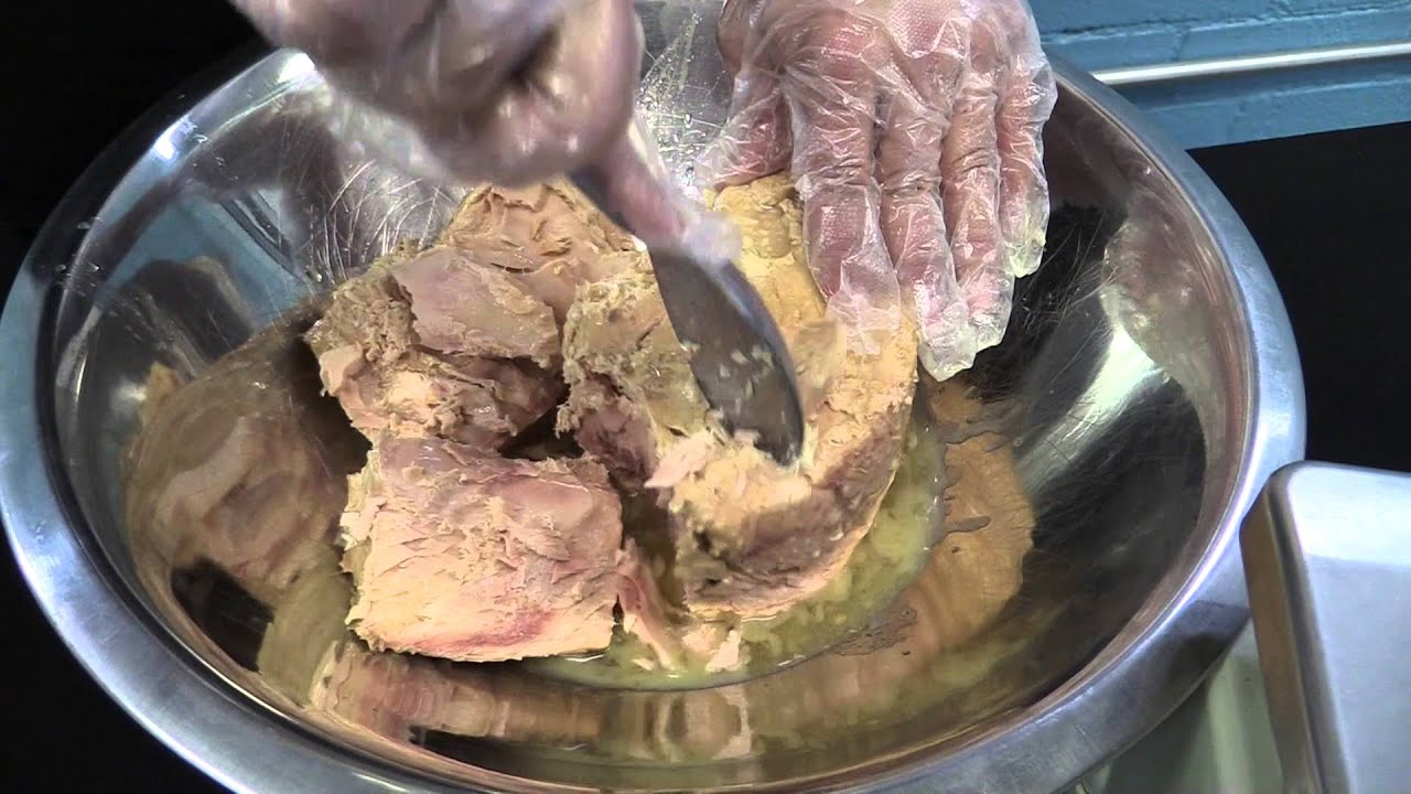 AMERICAN TUNA